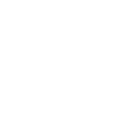 300+ Projects